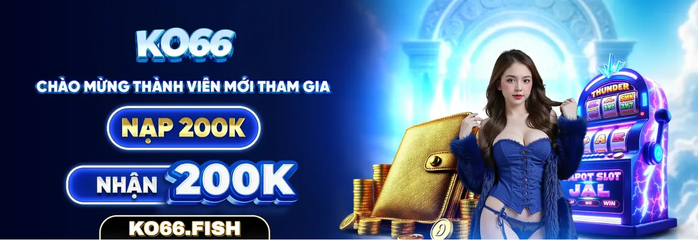 banner-ko66