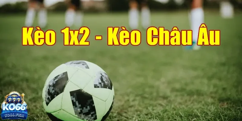 Kèo châu Âu KO66